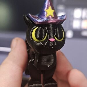 3D printed wizard cat